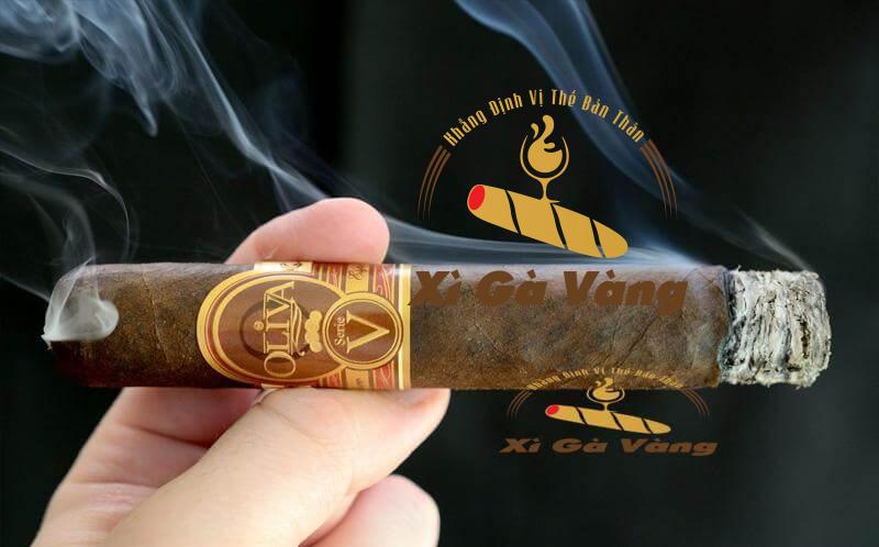 Thưởng thức xì gà Oliva Serie V Maduro Double Robusto như một cuộc dạo chơi của vị giác